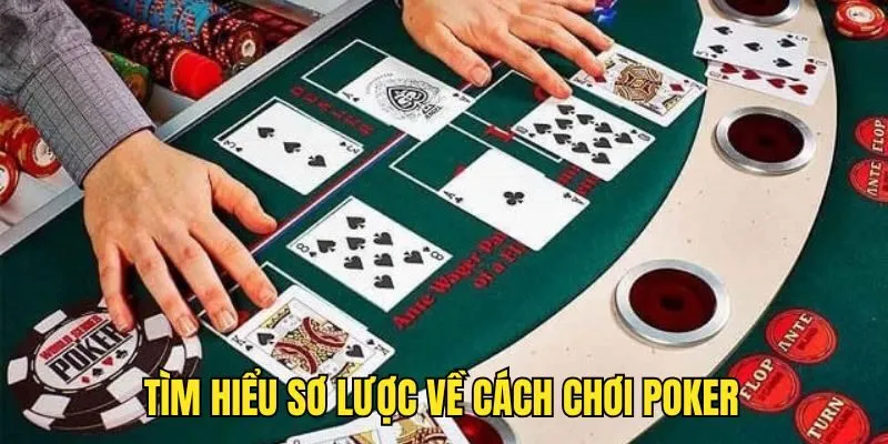 Cơ bản về cách chơi Poker Cách Chơi Poker - Điểm Danh TOP Mẹo Hay Từ Cao Thủ SUNWIN
