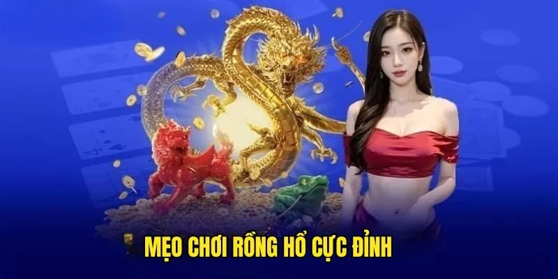 Khám Phá Rồng Hổ - Siêu Phẩm Triệu Đô Không Thể Bỏ Lỡ 3 Khám Phá Rồng Hổ - Siêu Phẩm Triệu Đô Không Thể Bỏ Lỡ