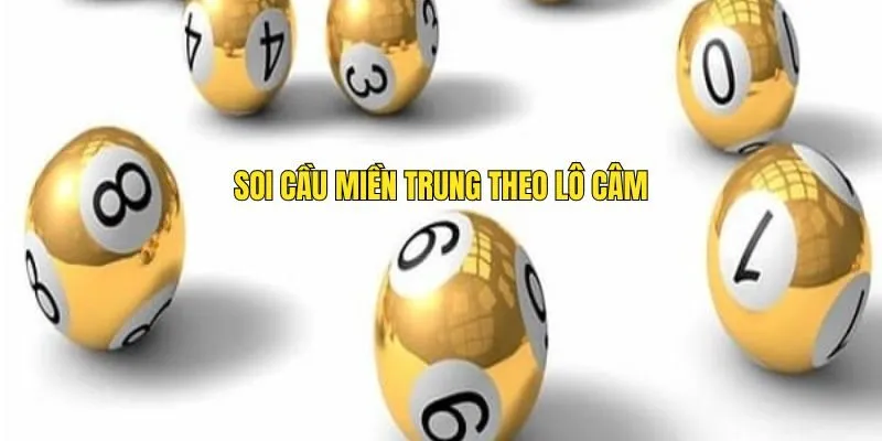 Soi cầu Miền Trung theo lô câm cực kỳ hiệu quả Soi Cầu Miền Trung Là Điều Cần Thiết Để Dành Được Thưởng